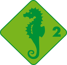<strong>Seepferd</strong>